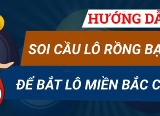 Hướng dẫn soi cầu lô Rồng Bạch Kim để bắt lô miền Bắc